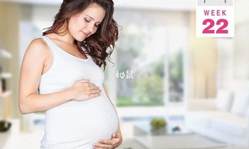 小针刀什么样-小针刀主治什么网小针刀什么样图片知识网站,分享小针刀主治什么病大全