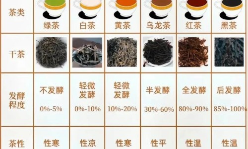 小针刀治什么病-小针刀主治什么网小针刀什么样图片知识网站,分享小针刀主治什么病大全